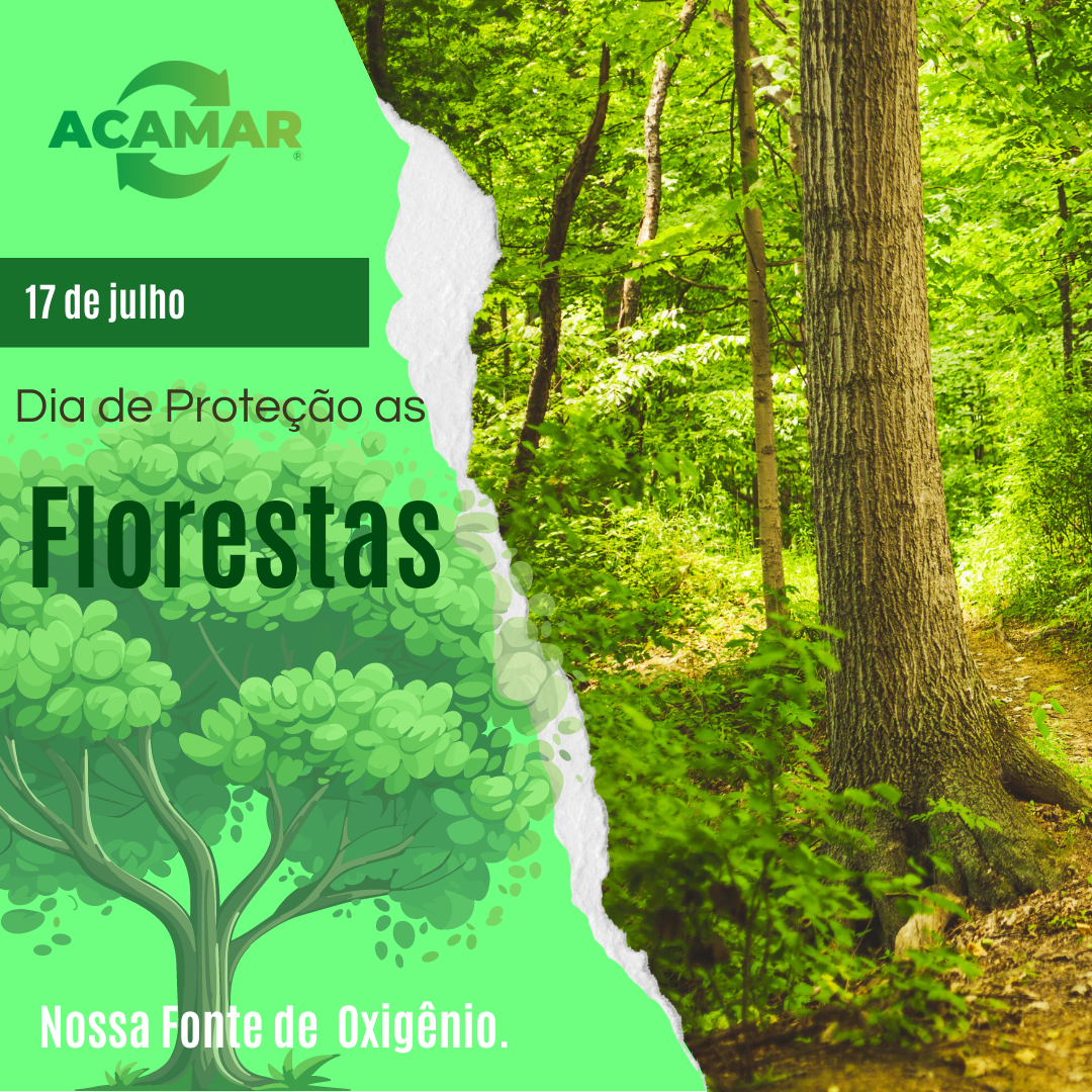 💚 Dia de Proteção às Florestas 🌳