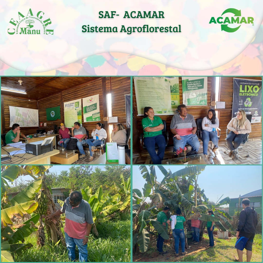 SAF – ACAMAR/CEAAGRE
