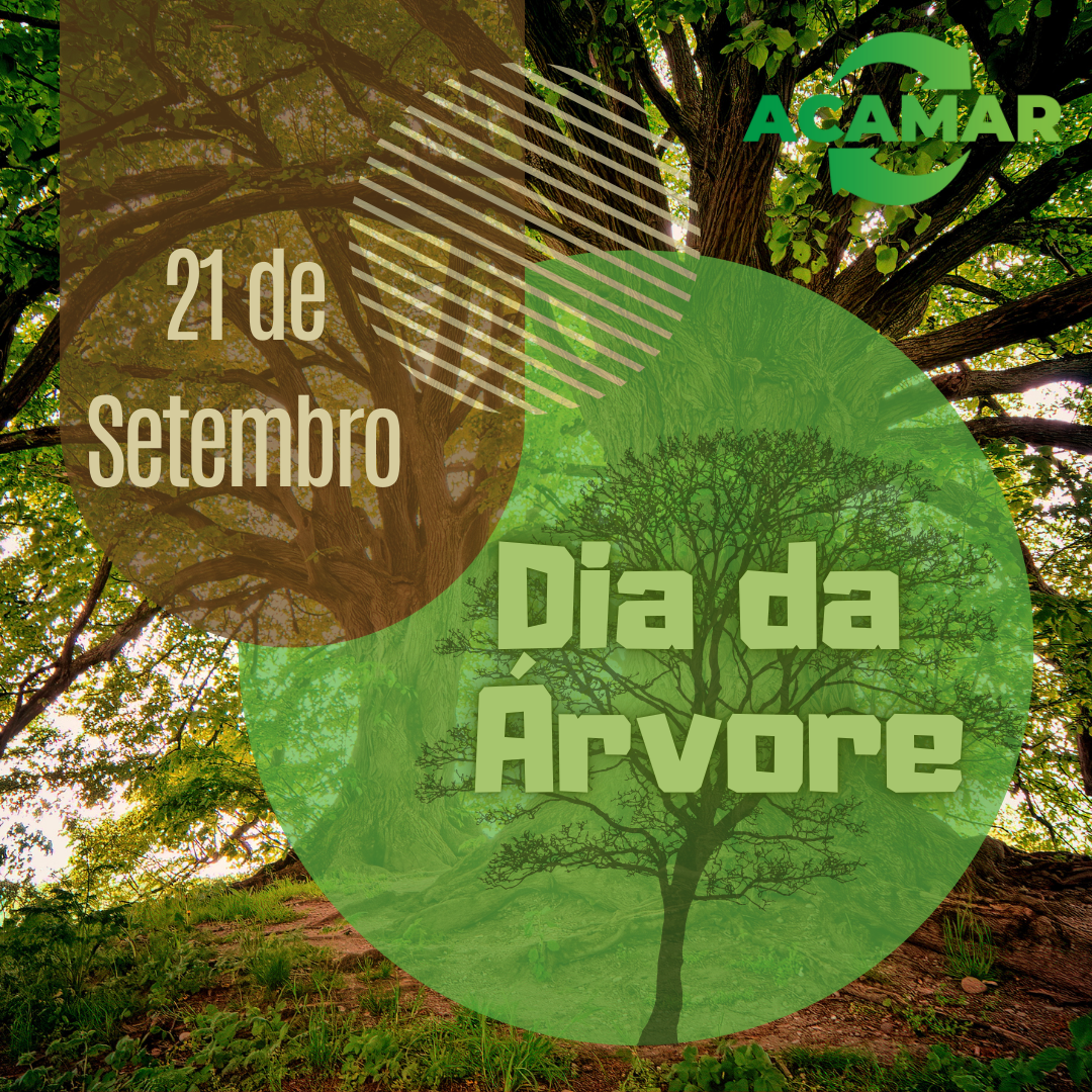 Dia 21 de setembro DIA DA ÁRVORE